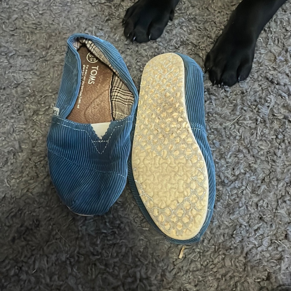 Tom’s brand size 6.5